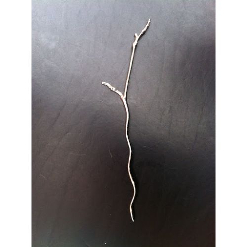 Jul Twig Shawl Pin